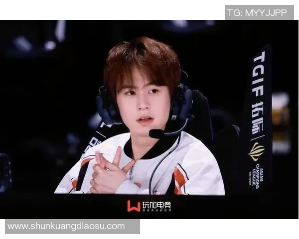 王者荣耀赛季节奏大揭秘JDG战队创下历史新高表现